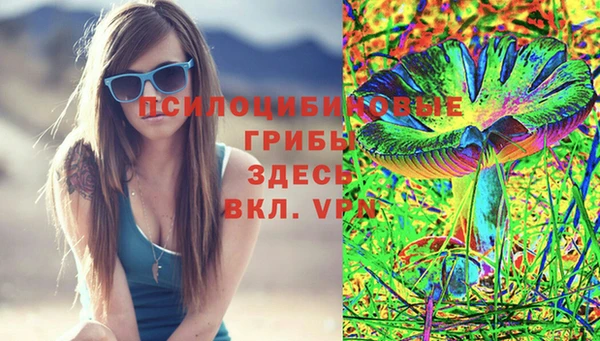 хмурый Алексеевка